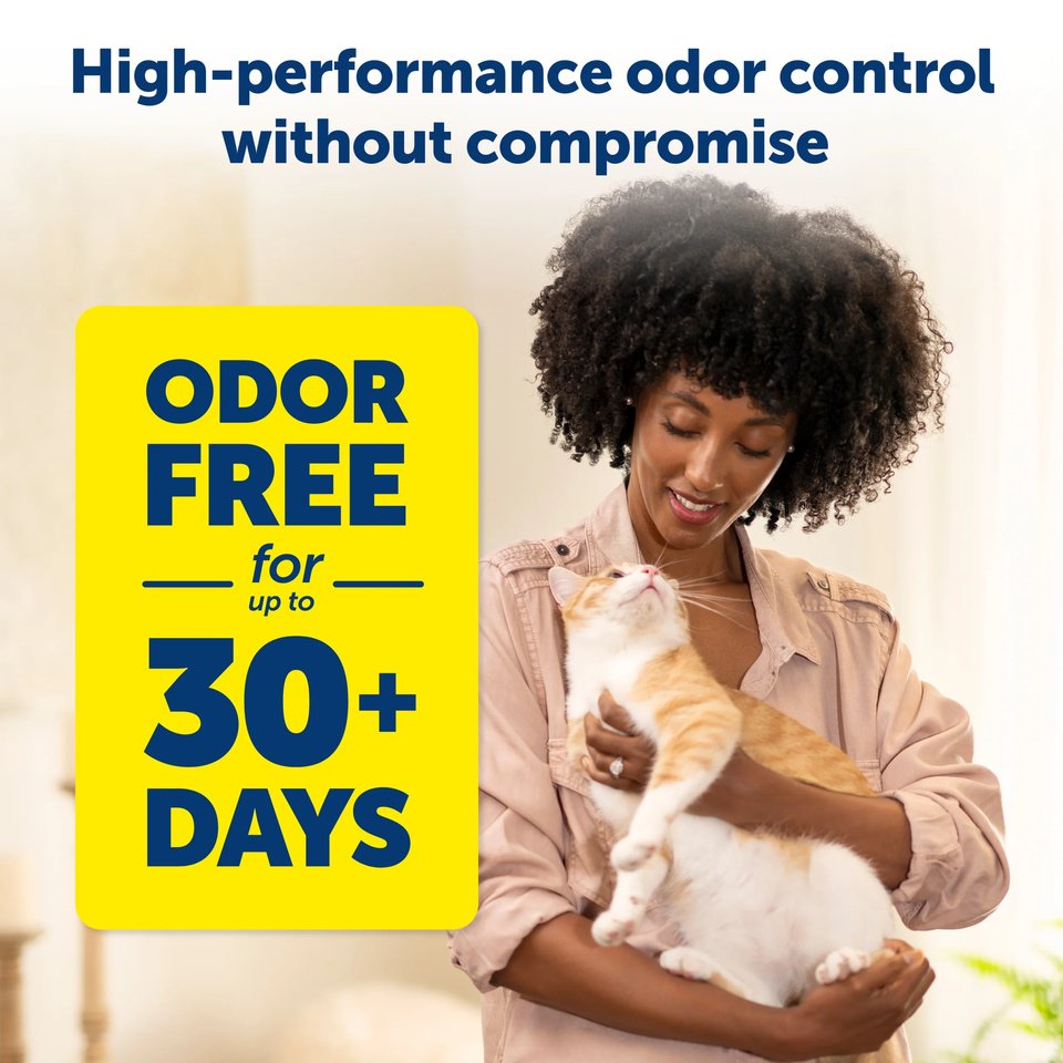 PetSafe – ScoopFree Premium Natural Cat Litter - Barkn Bargains
