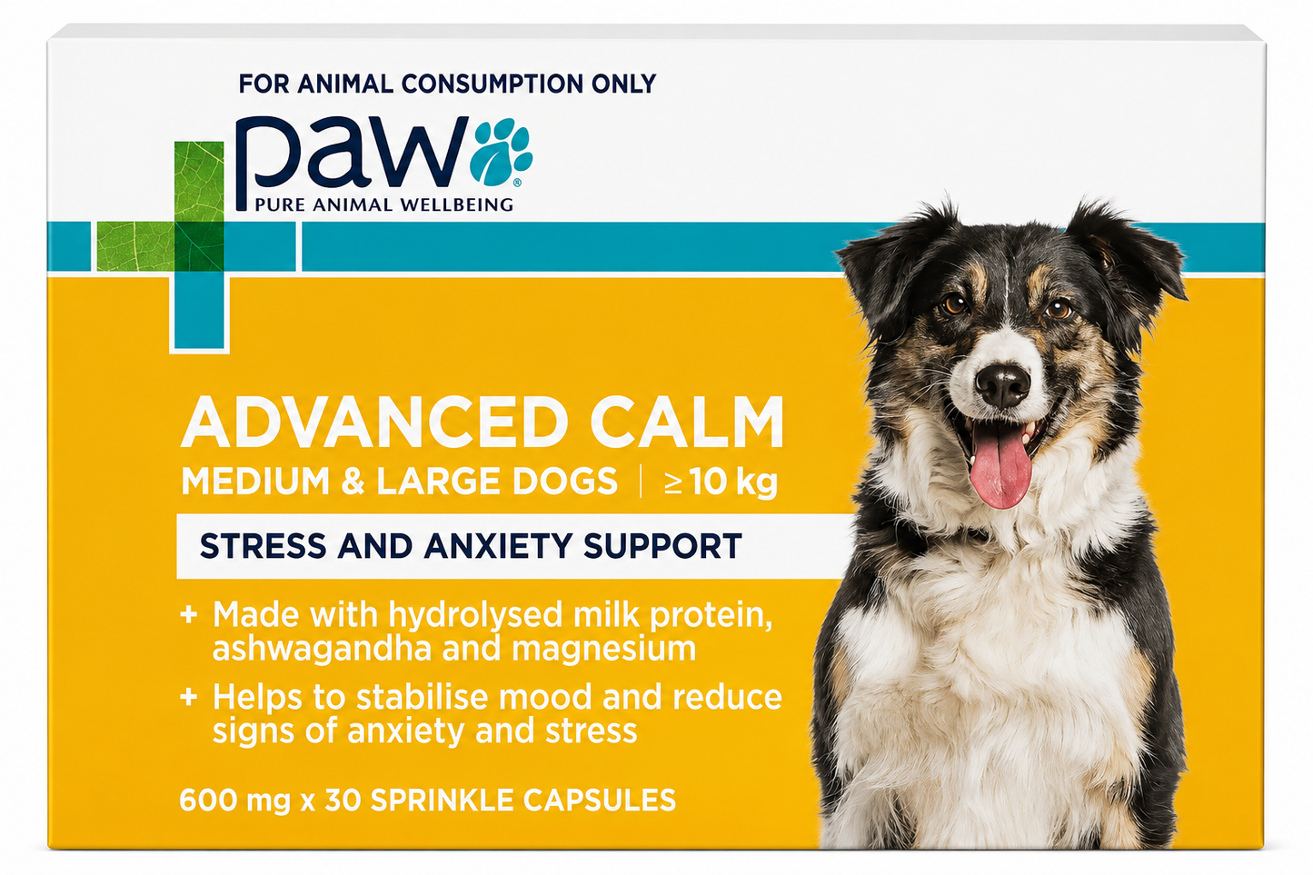 PAW – Advanced Calm