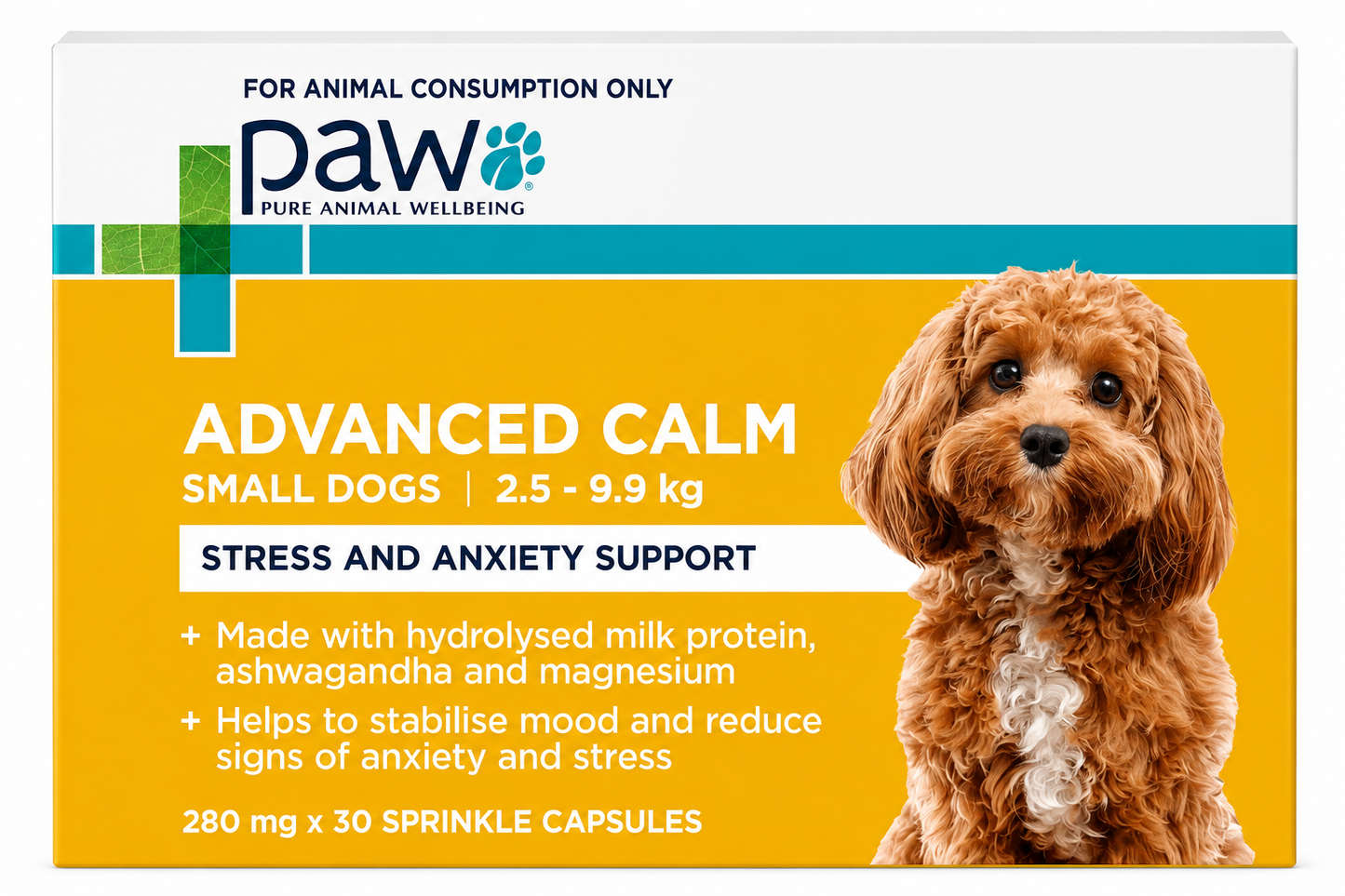 PAW – Advanced Calm