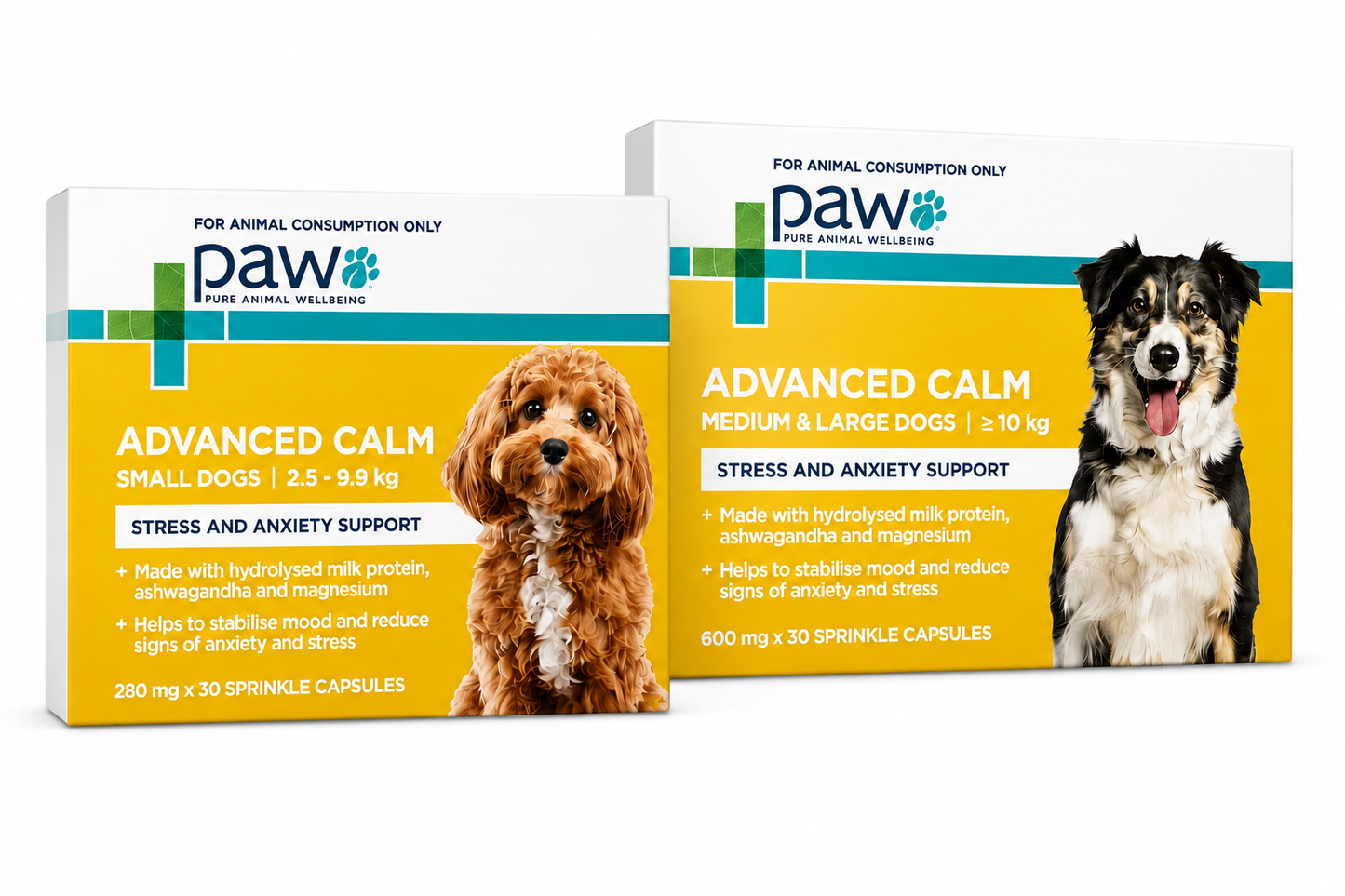 PAW – Advanced Calm