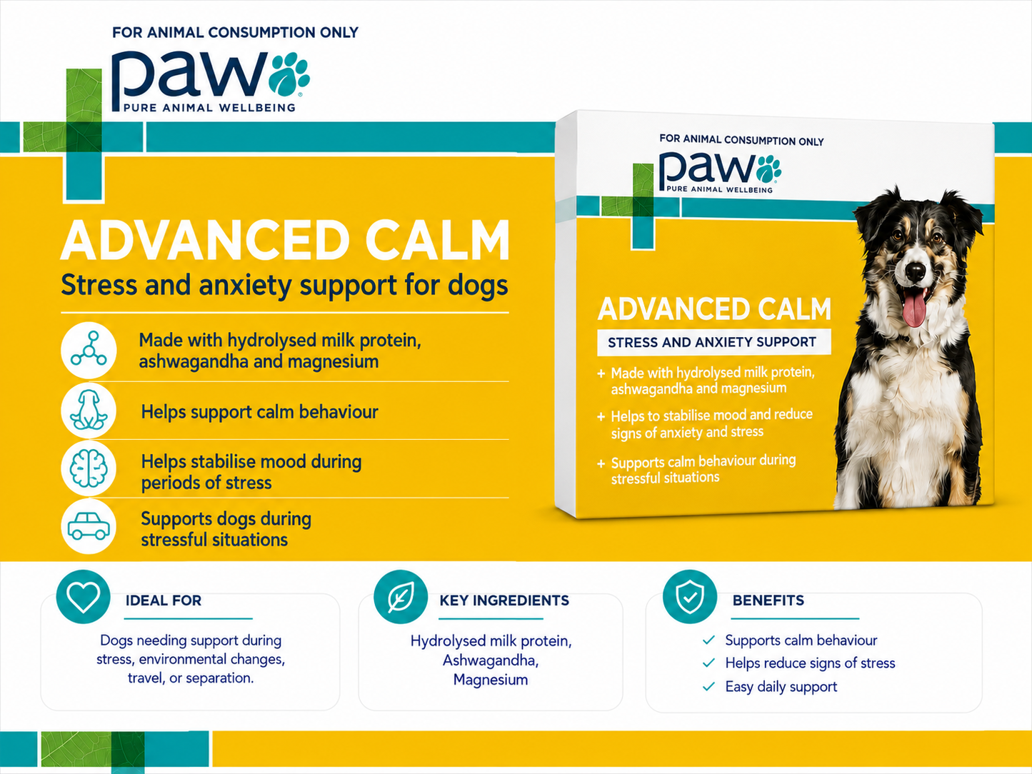 PAW – Advanced Calm