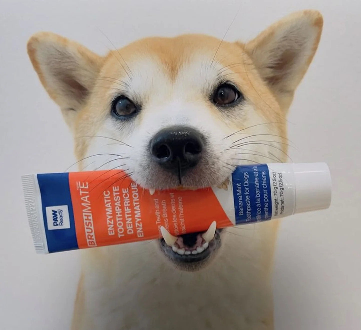Paw Ready – BrushMate – Enzymatic Toothpaste