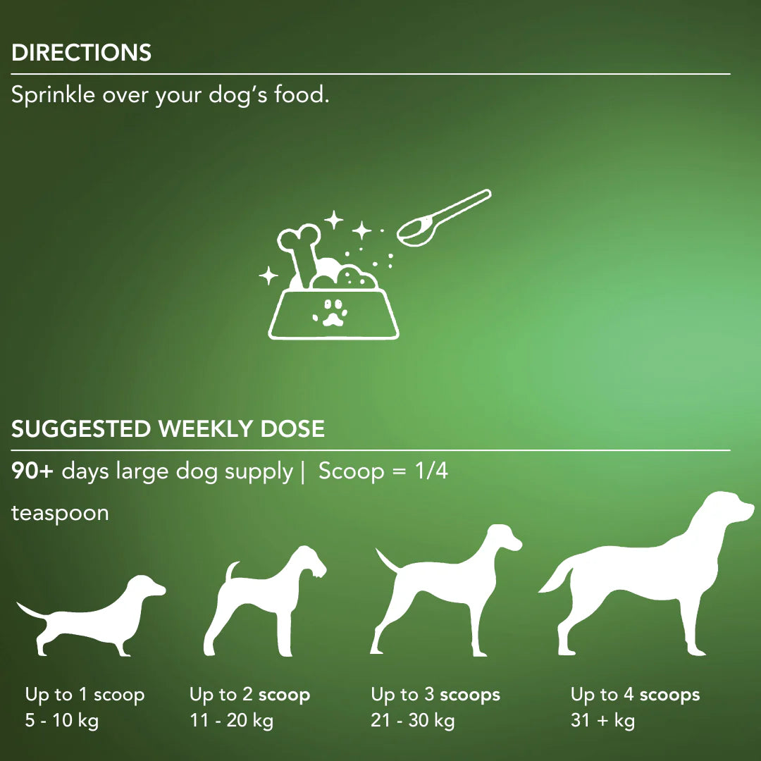 Tandem – Super Foods – New Zealand Organic Kelp Powder