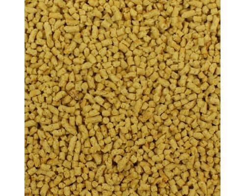 Vetafarm – Rodent Origins
