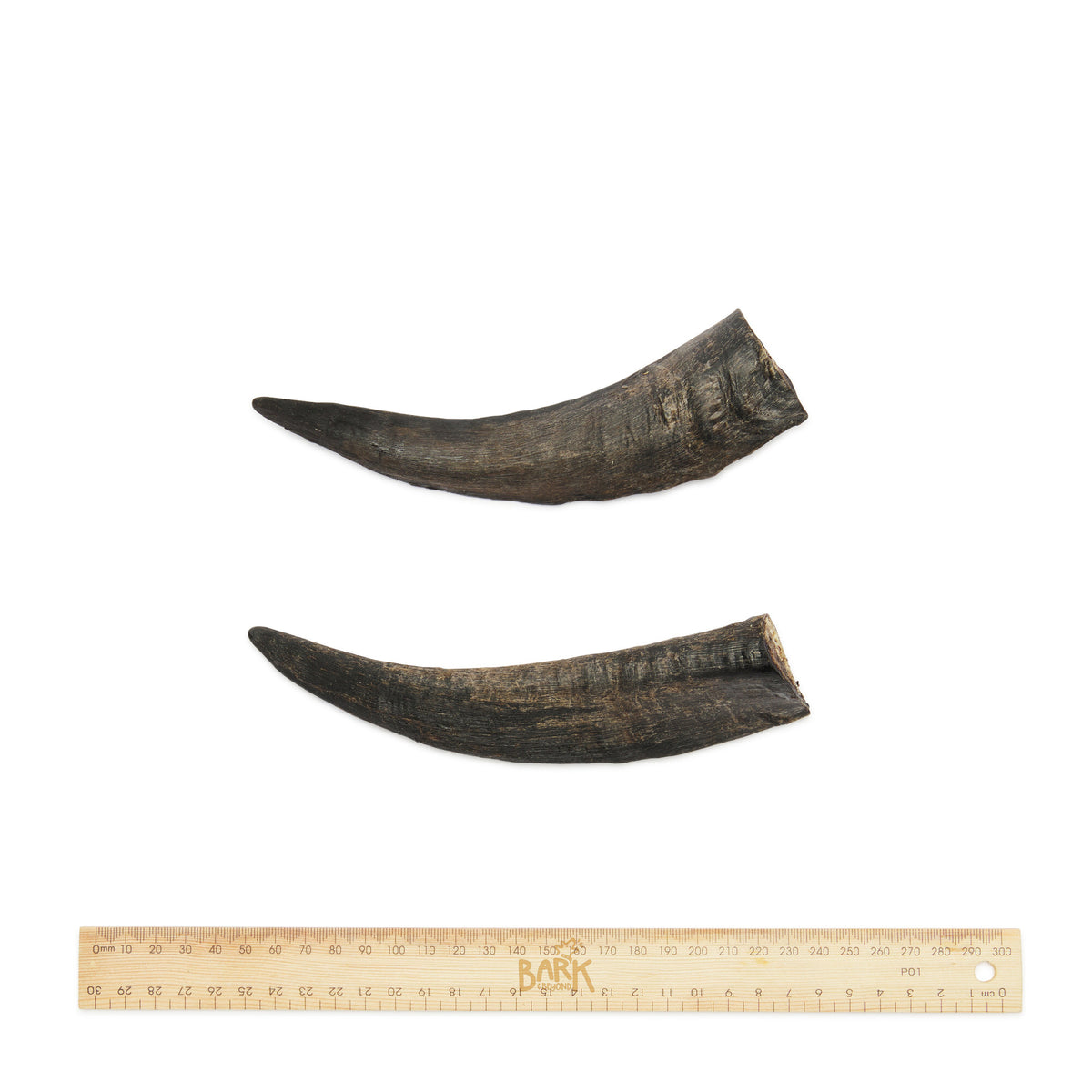 Bark & Beyond – Goat Horn - Barkn Bargains