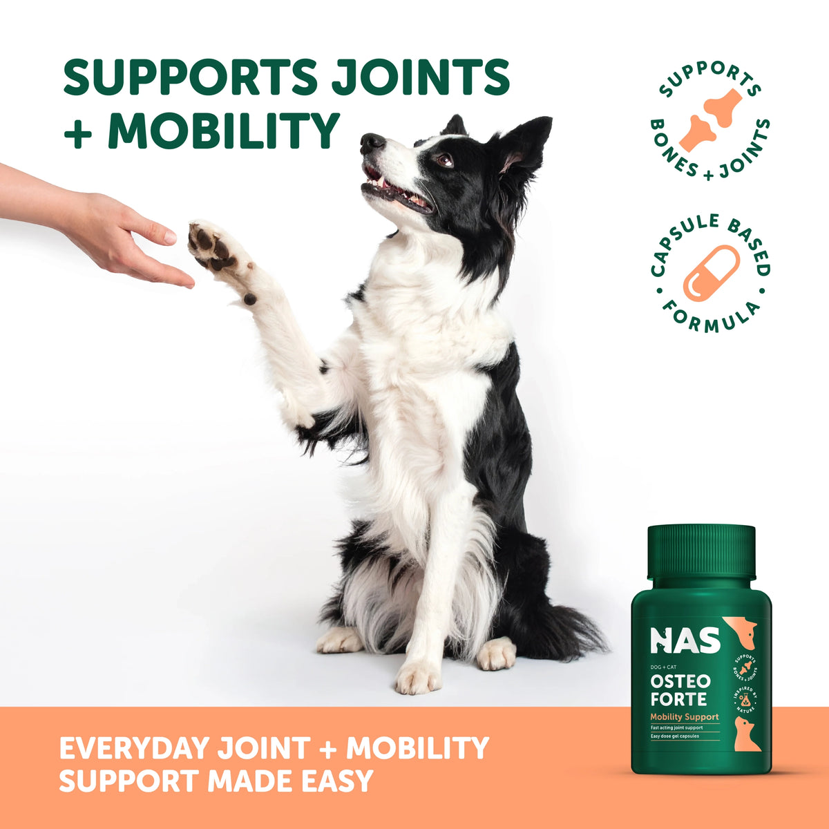 Natural Animal Solutions – OsteoForte