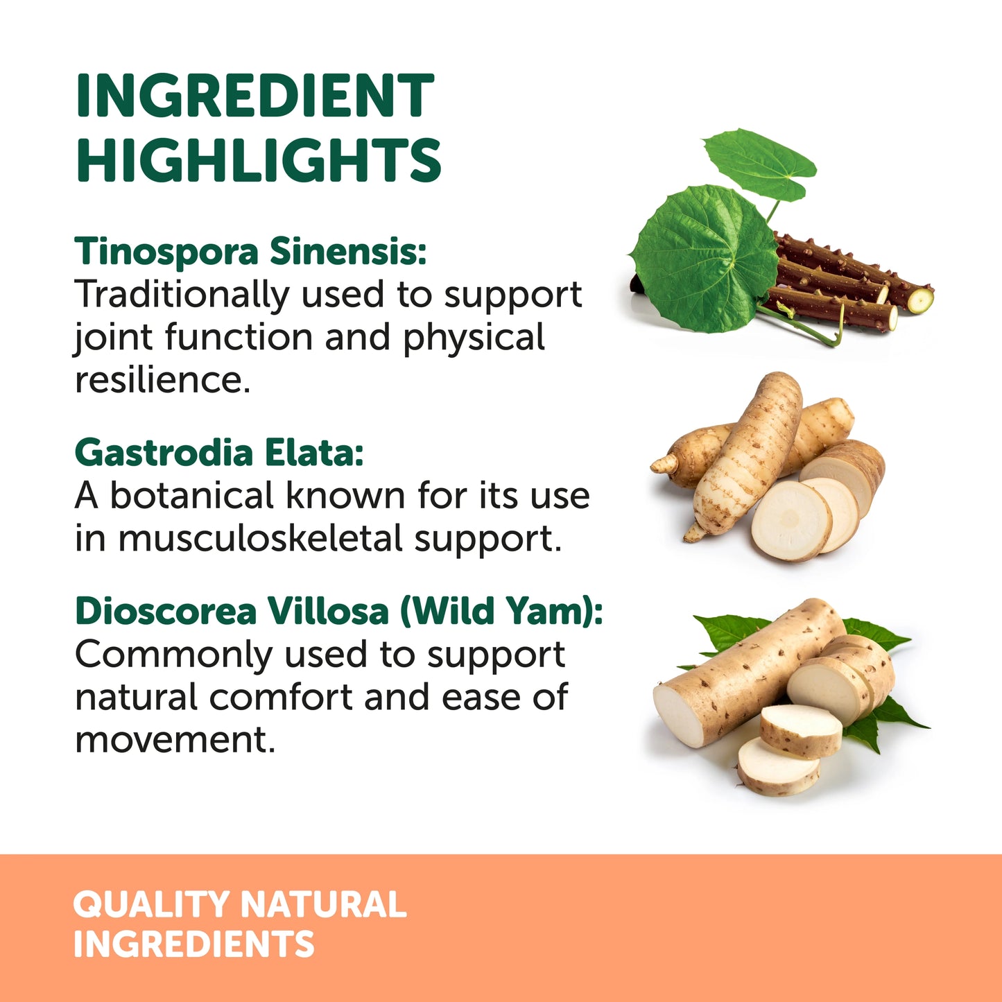 Natural Animal Solutions – OsteoForte