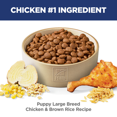 Hill’s – Science Diet – Puppy – Large Breed