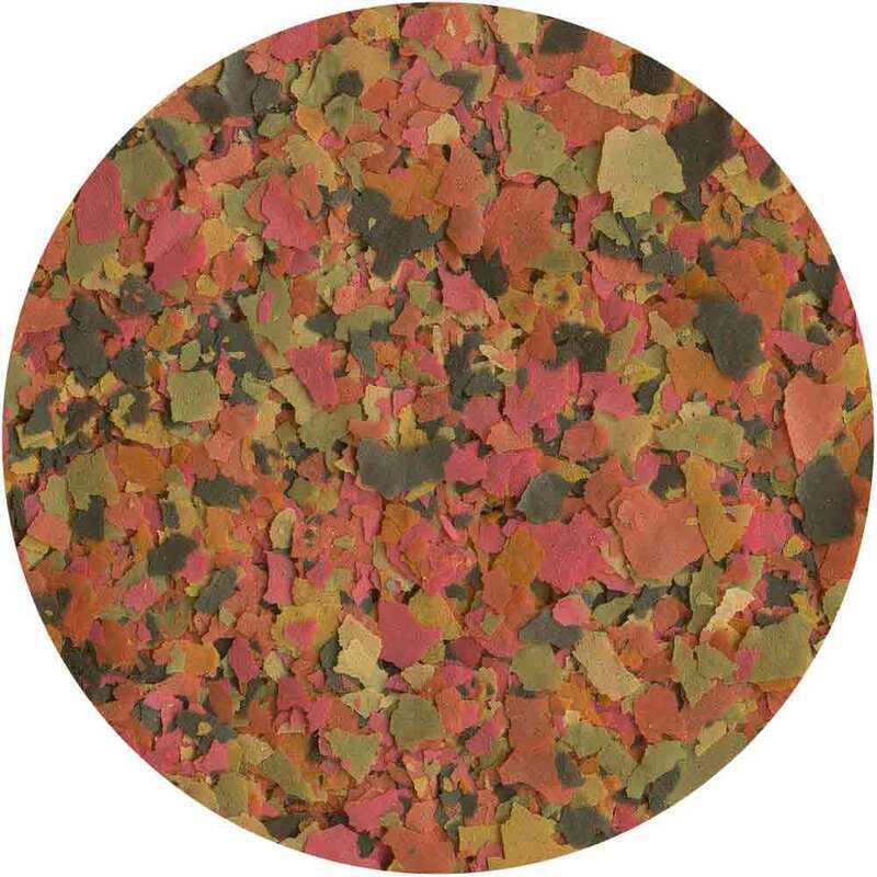 Tetra – TetraMin – Tropical Flakes