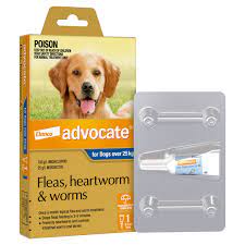 Advocate – For Dogs – Fleas, Heartworm & Worms – 1 Tube
