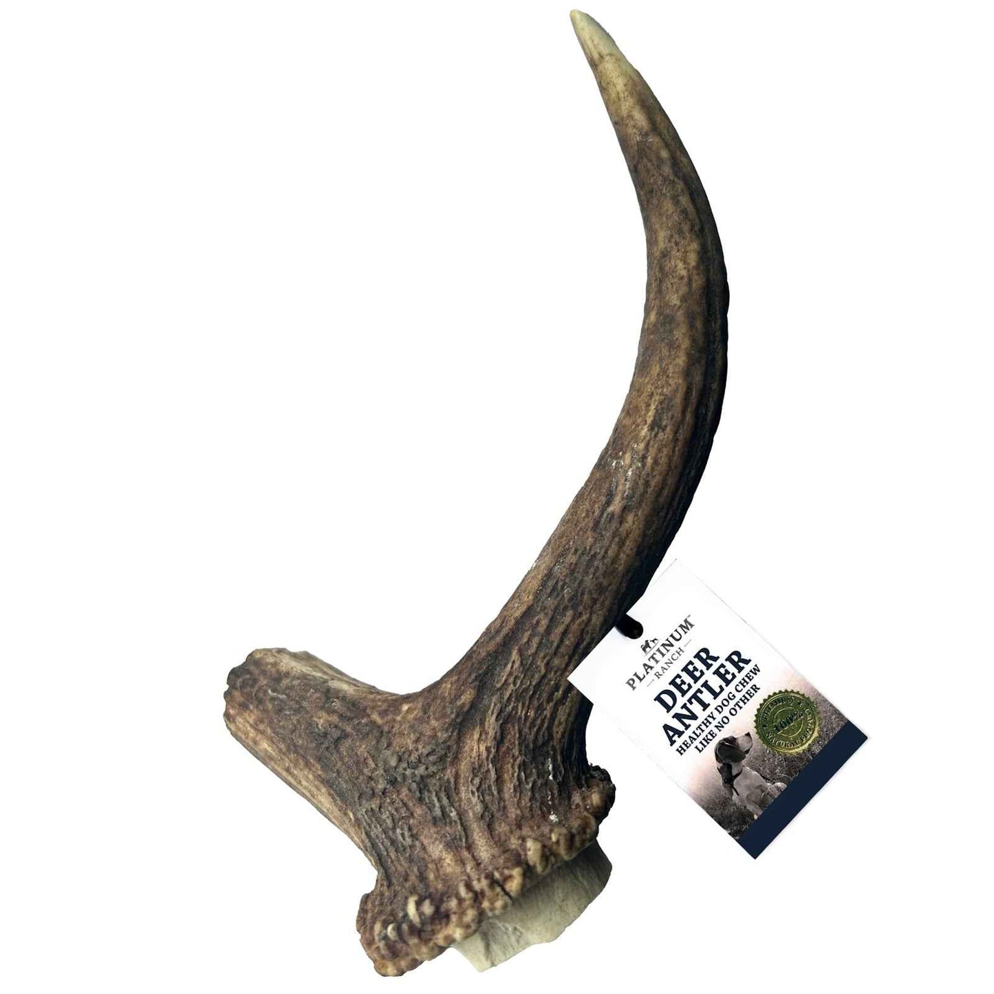 Platinum Ranch – Deer Antler
