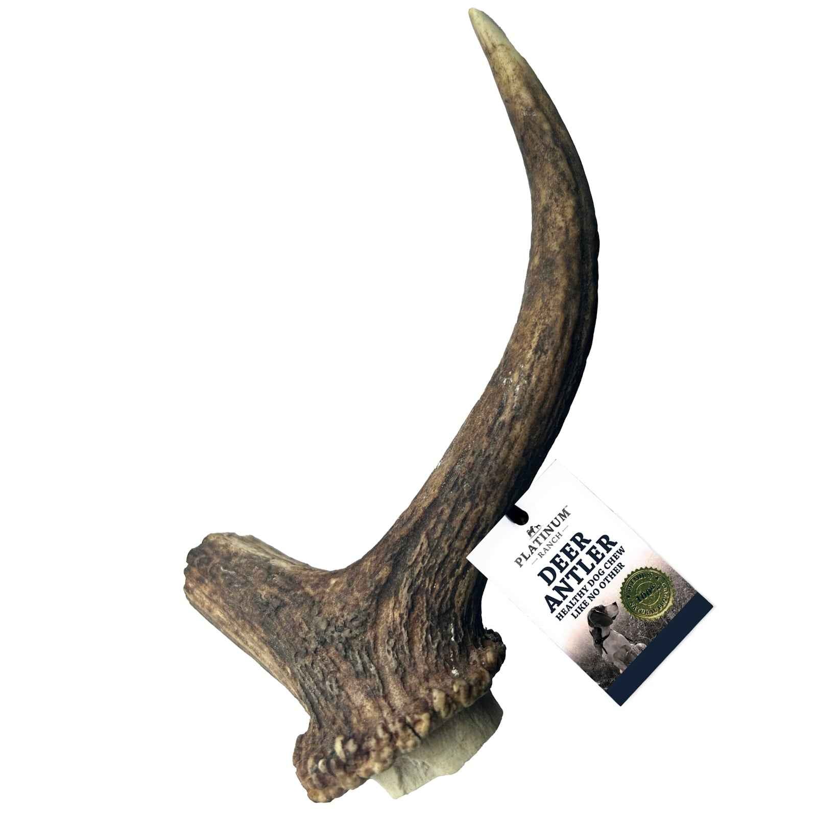 Platinum Ranch – Deer Antler