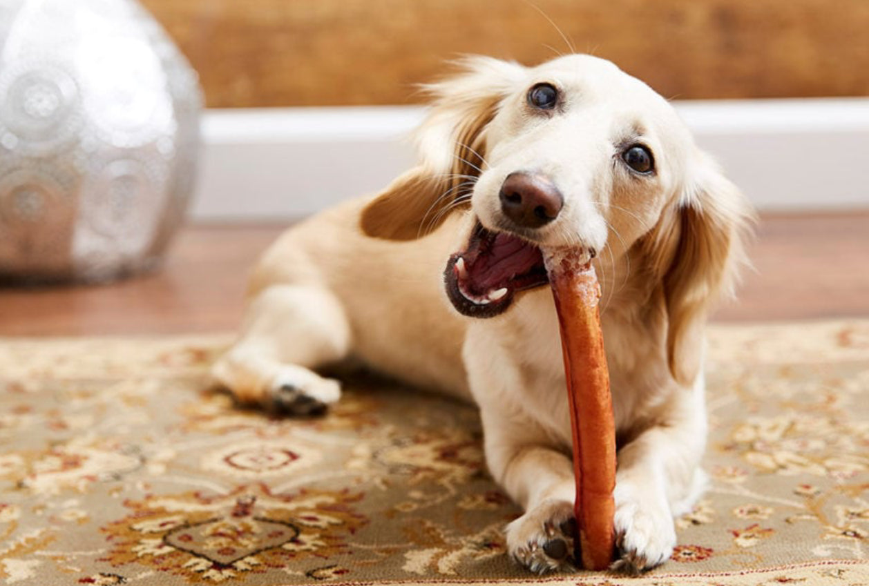 Bark & Beyond – Bully Sticks - Barkn Bargains