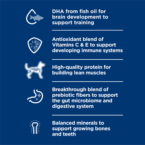 Hill’s – Science Diet – Wet Food – Puppy