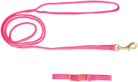 Beau Pets - Puppy Collar & Lead Set - Nylon - Barkn Bargains