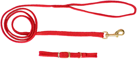 Beau Pets - Puppy Collar & Lead Set - Nylon - Barkn Bargains