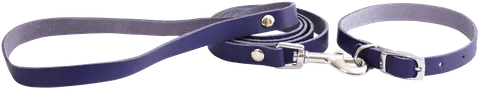 Beau Pets - Puppy Collar & Lead Set - Leather - Barkn Bargains