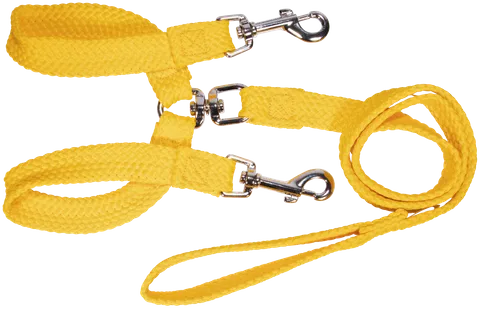 Beau Pets – Double Nylon – Brace Lead