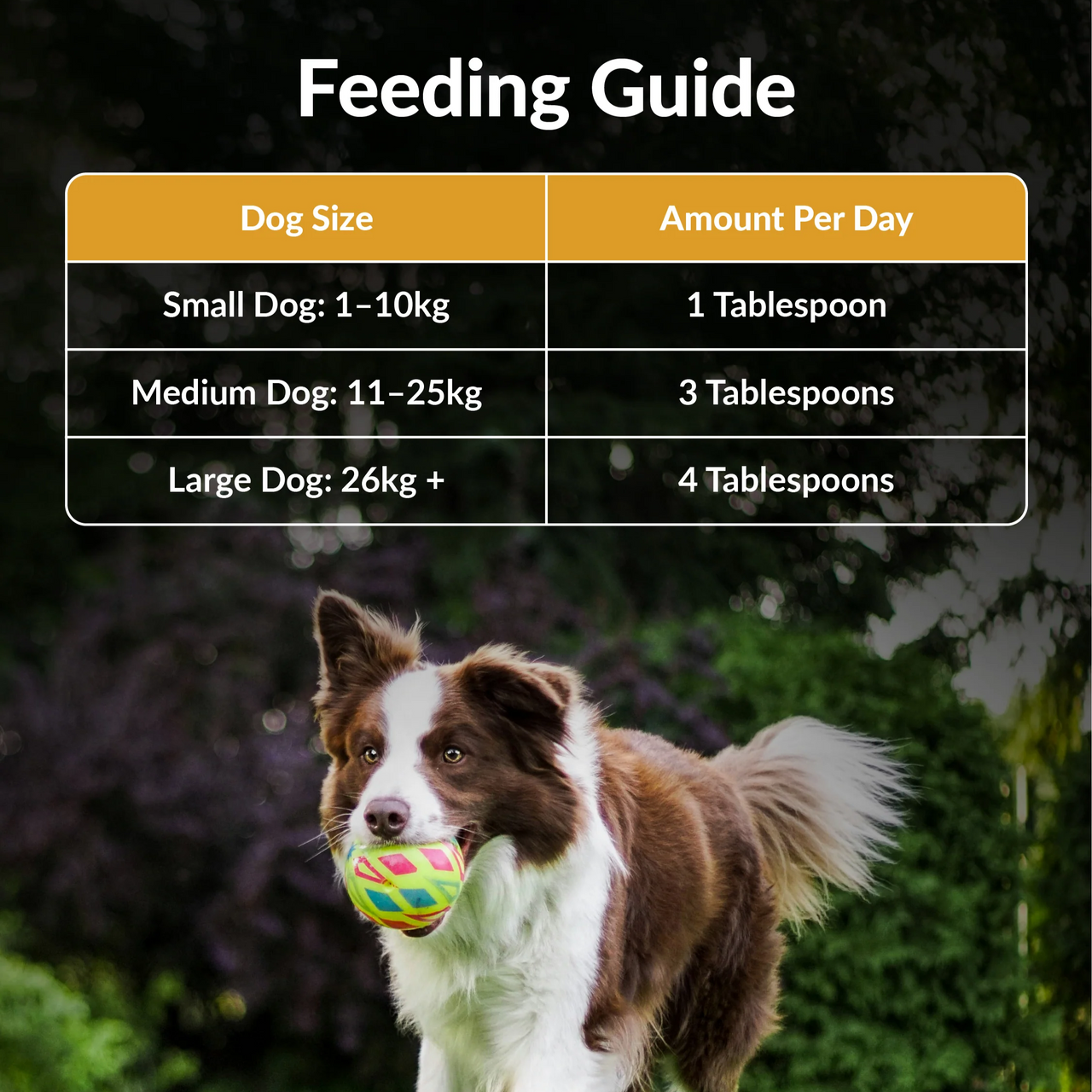 Carnivore Pet Kitchen – Meal Topper For Dogs – Brain (EXP 11/26)