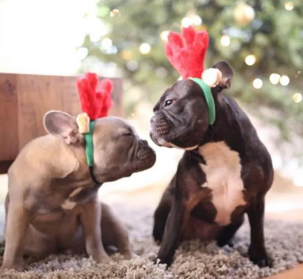 Zippy Paws – Christmas Antlers Headband