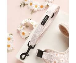 Cocopup London – Dog Lead – Daisy Chain
