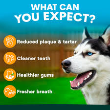 PetzPark – Toothpaste – For Dogs - Barkn Bargains