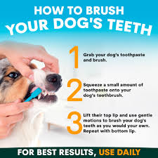 PetzPark – Toothpaste – For Dogs - Barkn Bargains