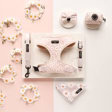 Cocopup London – Bow Tie – Daisy Chain
