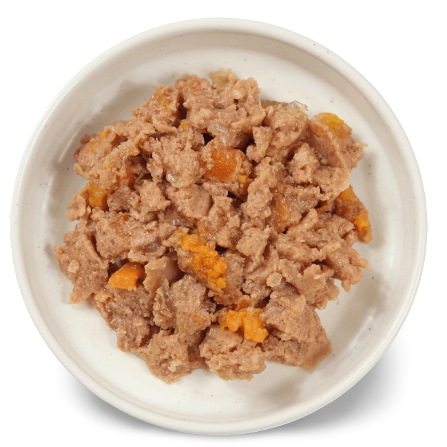 Ivory Coat – Wet Food Trays – Adult Dog – Inspired By Raw – Gut Health