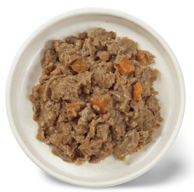 Ivory Coat – Wet Food Trays – Adult Dog – Inspired By Raw – Health & Vitality