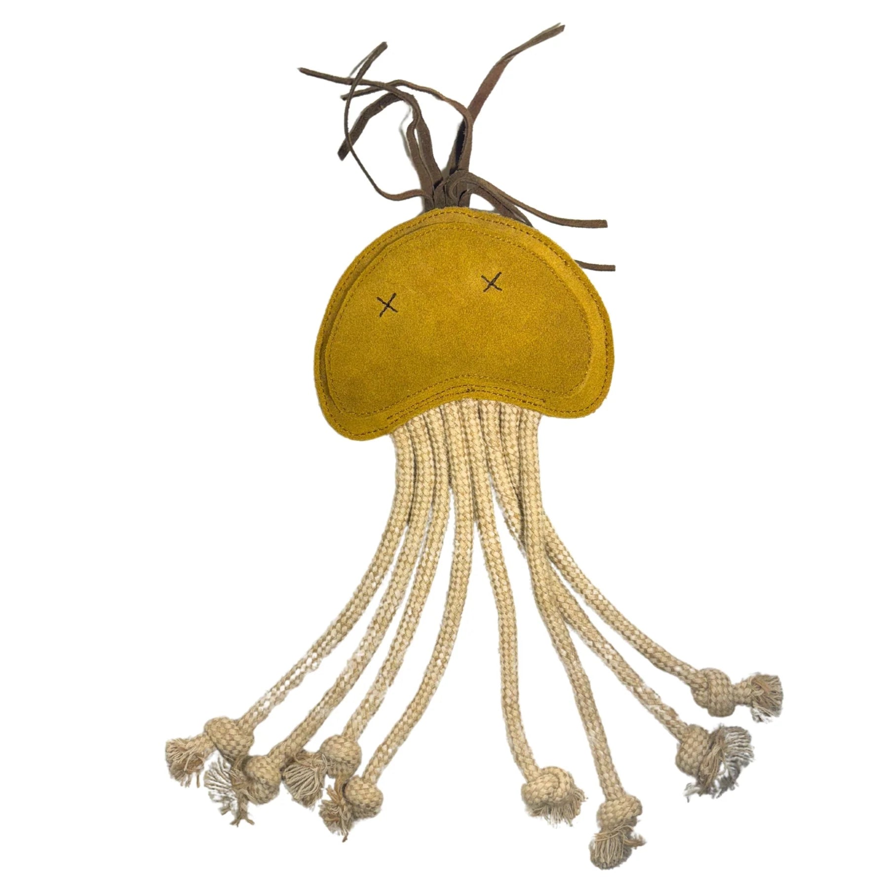 Georgie Paws – Joe Jellyfish - Barkn Bargains