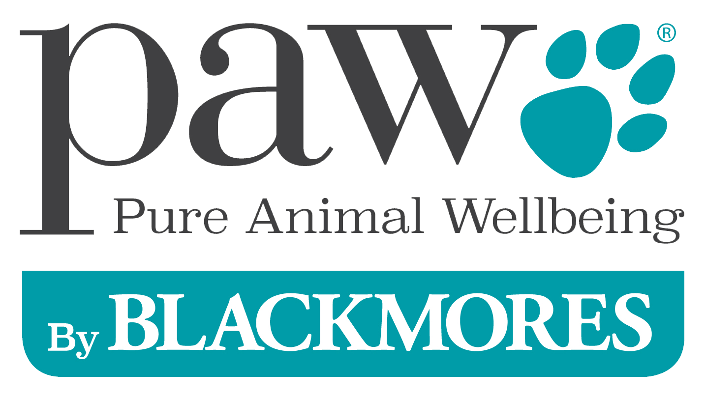 PAW by Blackmores Gentle Puppy Shampoo