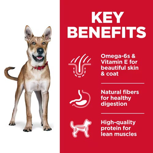 Hill’s – Science Diet – Adult Dog (1-6)