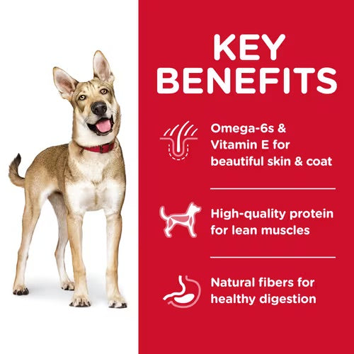 Hill’s – Science Diet – Adult Dog (1-6) – Lamb & Rice