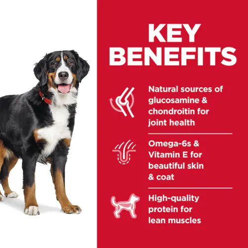 Hill’s – Science Diet – Adult Dog (1-5) – Large Breed