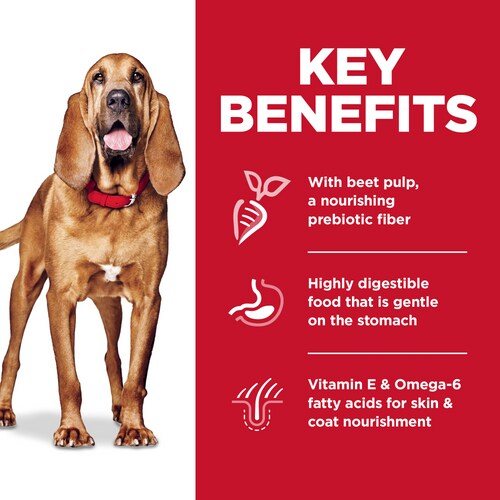 Hill’s – Science Diet – Adult Dog – Sensitive Skin & Stomach – Large Breed