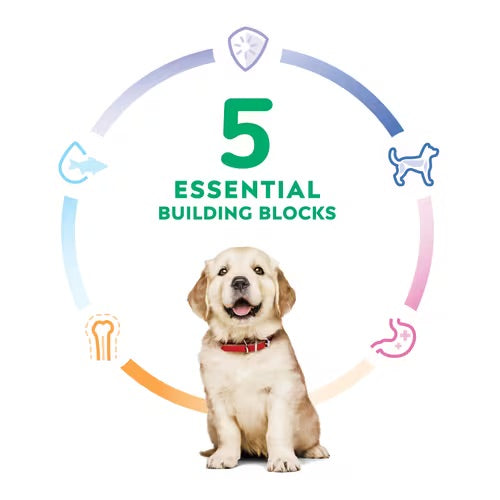 Hill’s – Science Diet – Puppy – Large Breed