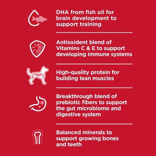 Hill’s – Science Diet – Puppy – Small Bites