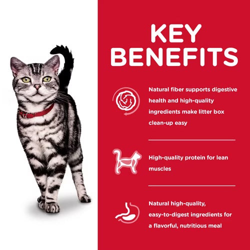 Hill’s – Science Diet – Adult Cat (1-6) – Indoor