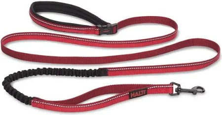 Company of Animals – Halti – Active Lead