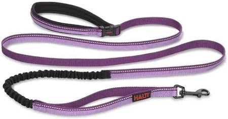 Company of Animals – Halti – Active Lead