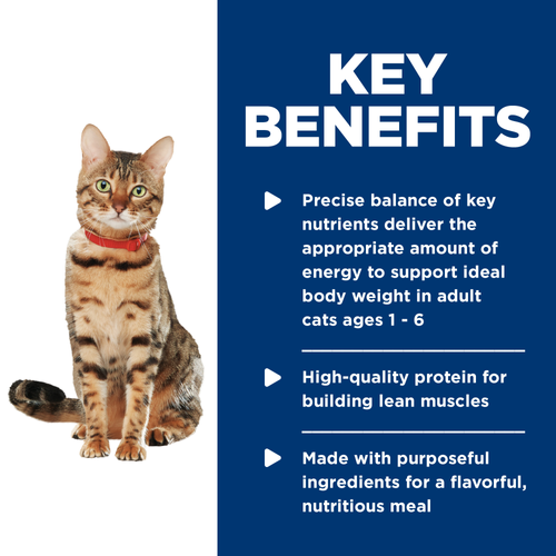 Hill’s – Science Diet – Wet Food Tins – Adult Cat