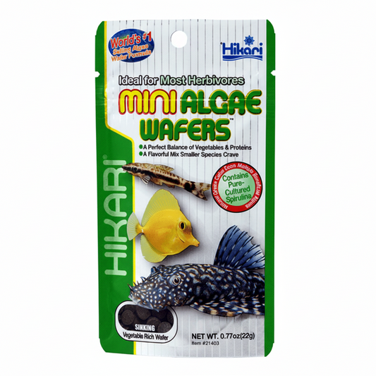 Hikari – Algae Wafers – Mini - Barkn Bargains
