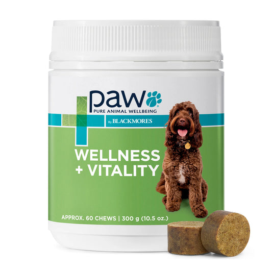 PAW by Blackmores Wellness + Vitality Multivitamin Chews